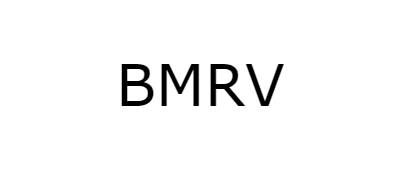 BMRV PARTICIPAÇÕES
